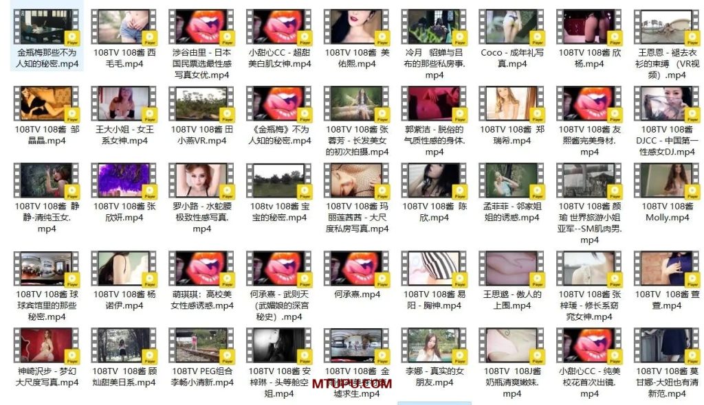 [合集]《108TV酱》视频作品144套120.89G-我的动漫